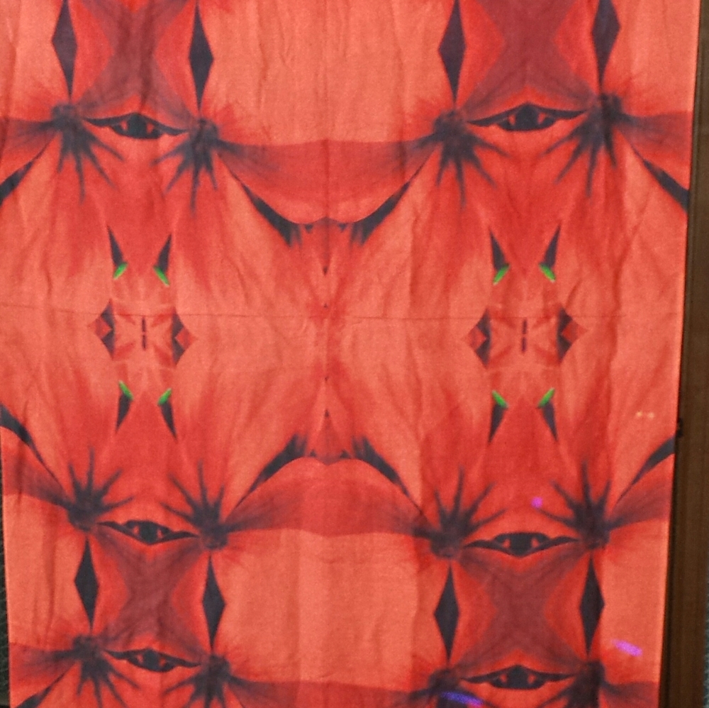 ●💰SOLD! ☆HP!!●Luxury scarf/wrap/shawls wearable art BNWT - Picture 9 of 11